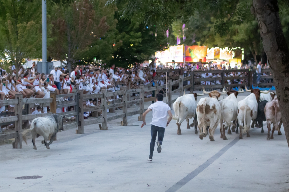 [GALERIA] Los 'cebaditas' apuntan maneras en el segundo encierrillo de los Sanfermines