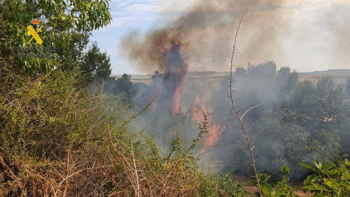 Investigan un incendio en Mendavia por quema agrícola negligente que amenazó una zona arbolada