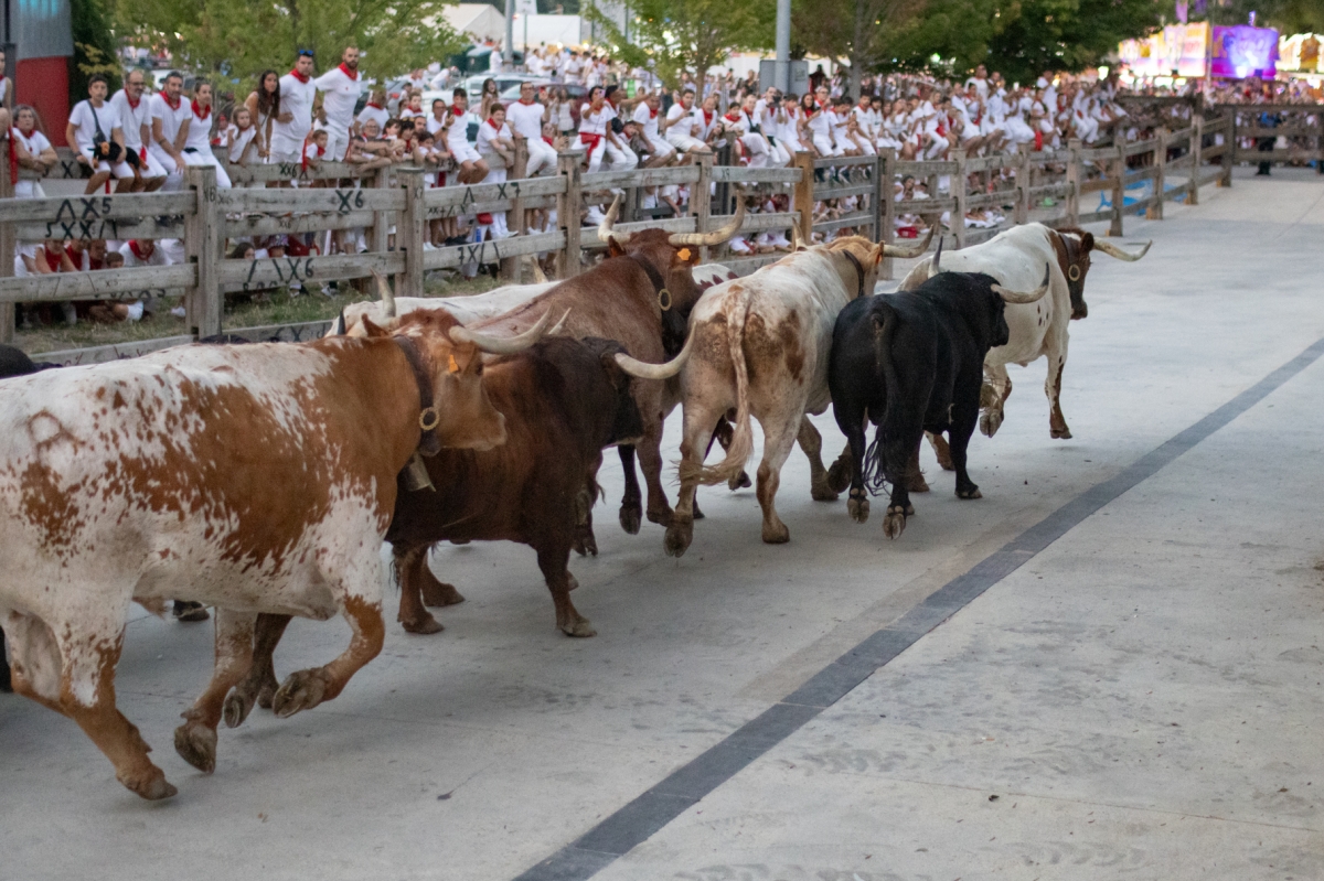 [GALERIA] Los Victorianos pisaron las calles de Pamplona en el tercer encierrillo de los Sanfermines