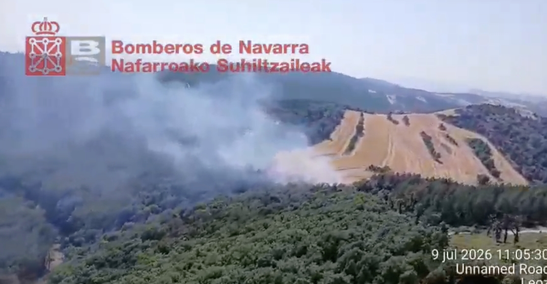 Controlado un incendio de rastrojo junto a un pinar en Iratxeta (Leoz/Leotz)