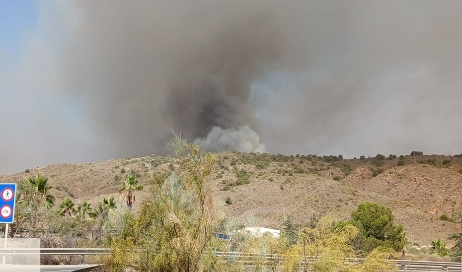 Doce fallecidos en el incendio forestal de Los Gallardos, que tardará 