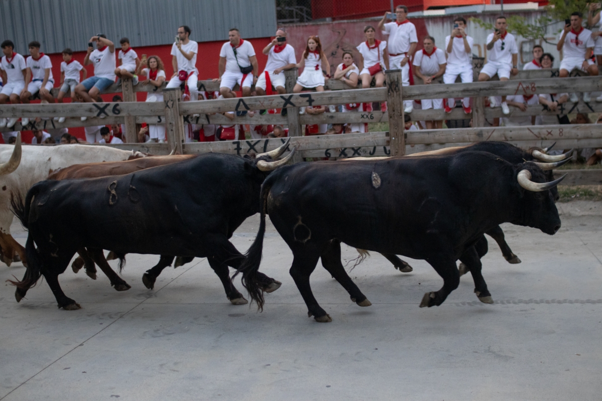 [GALERIA] Normalidad en el encierrillo de los toros de La Palmosilla