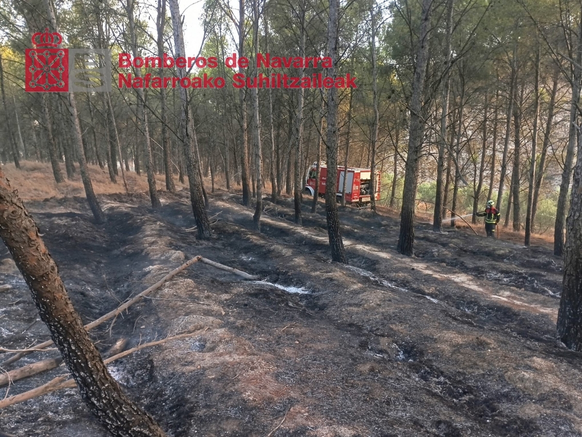 Un incendio en un pinar de Azagra ha amenazado una granja de corderos