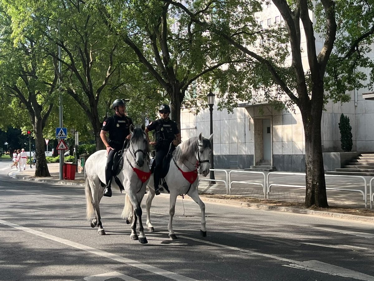 Policía Nacional auxilia en Pamplona a una turista que sufrió una grave anafilaxia por una alergia alimenticia