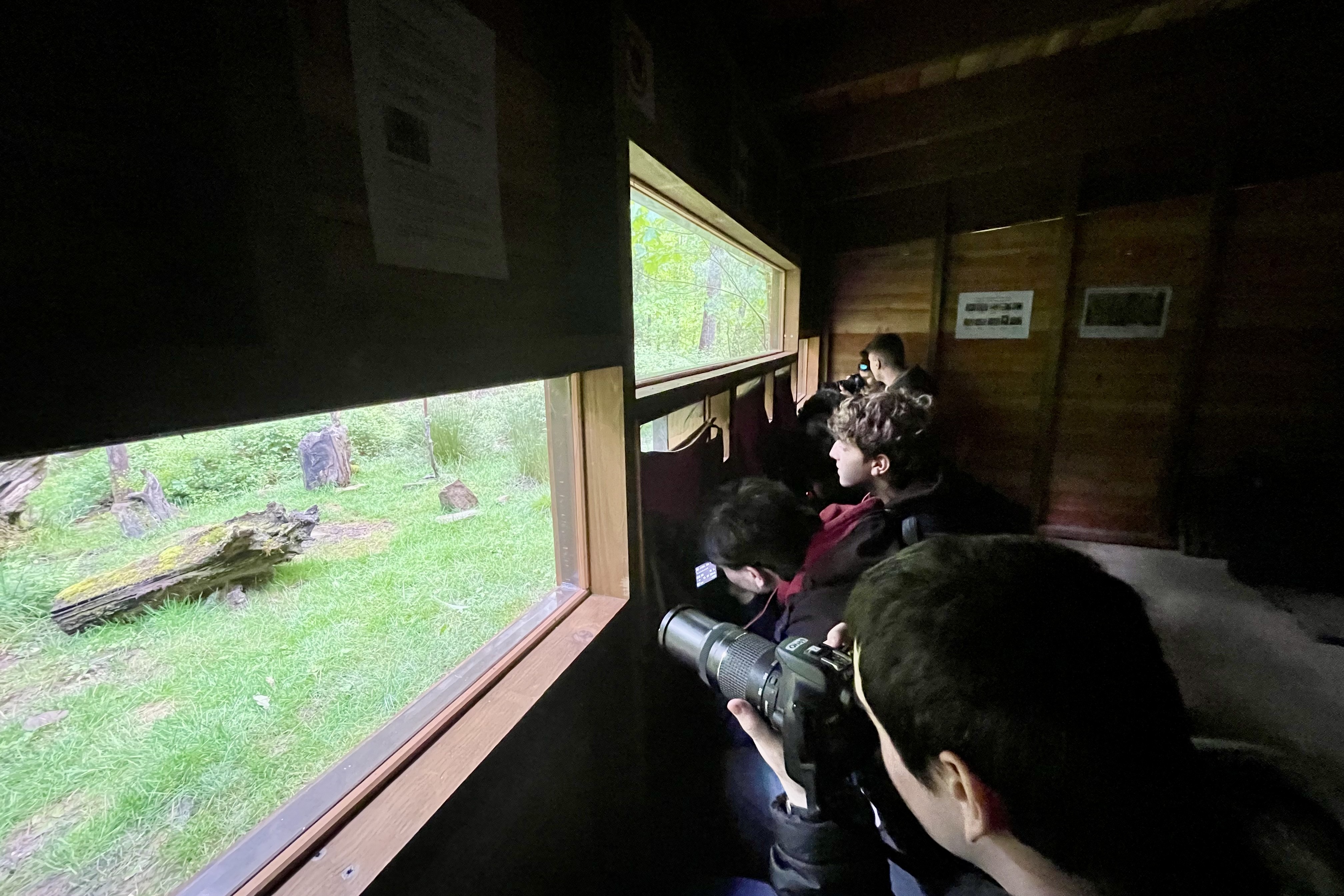 El único observatorio público de aves camuflado en un bosque de Navarra atrae a decenas de visitantes en Bertiz