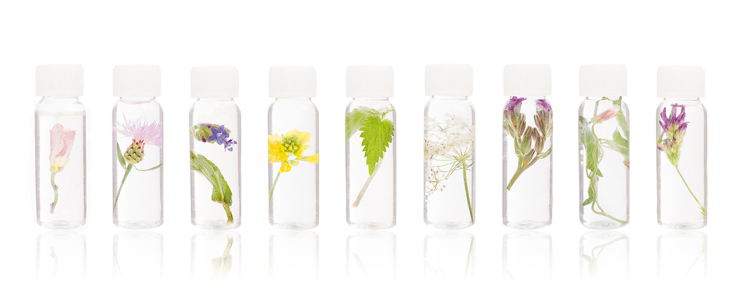 La Casa de la Juventud de Pamplona ofrece talleres gratuitos de cosmética natural, baile vogue y emociones