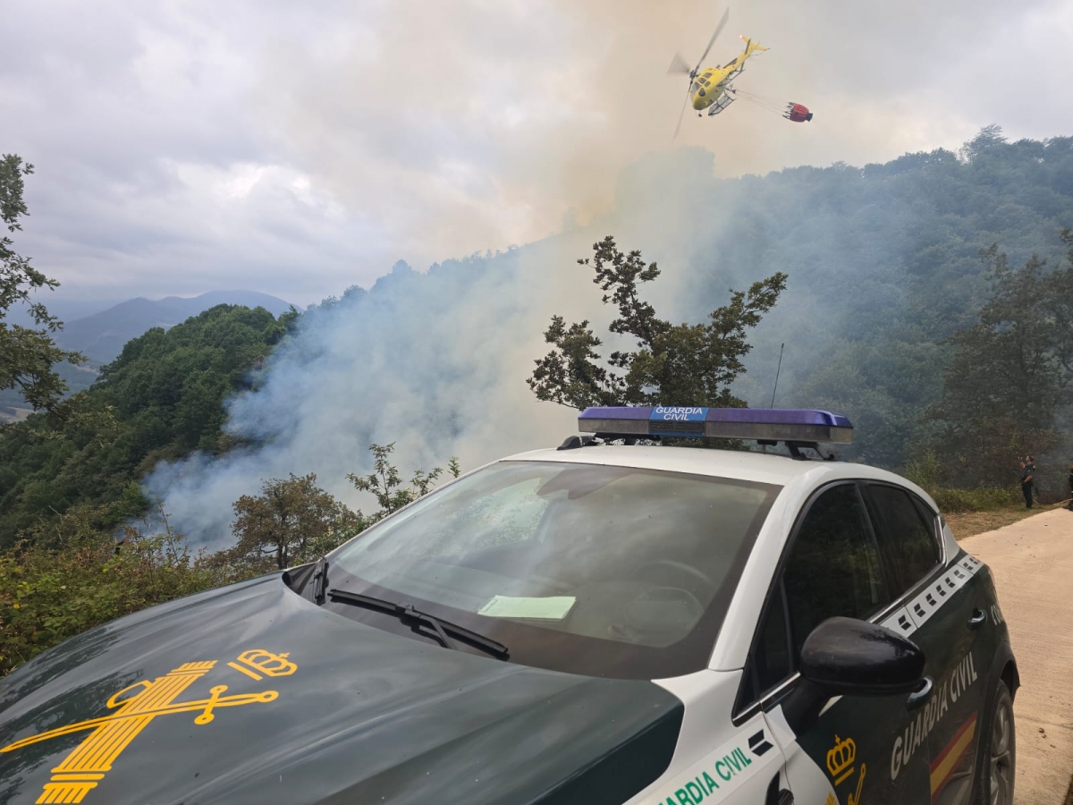 Un fuego de vegetación moviliza a bomberos, medios aéreos y Guardia Civil en el valle de Baztan sin obligar a desalojos
