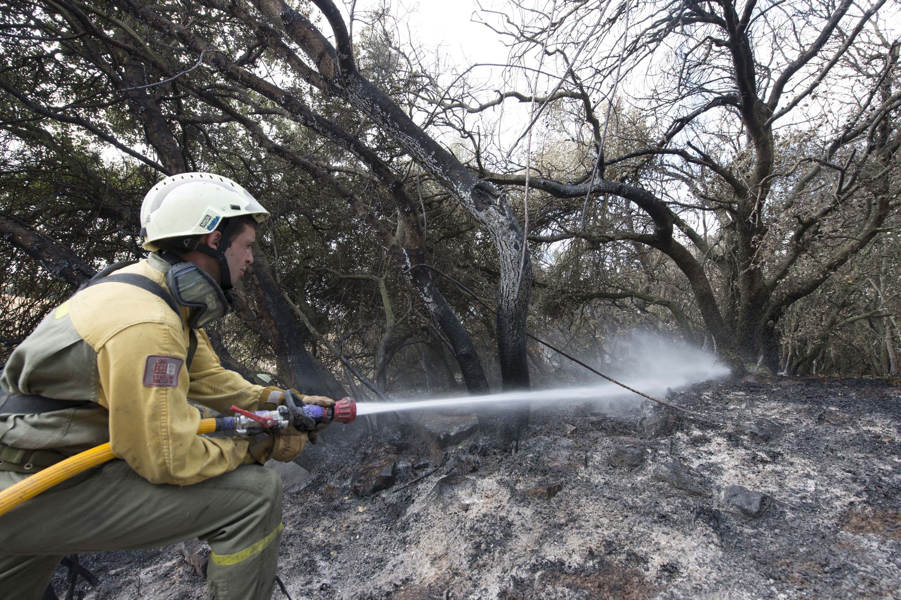 Los bomberos de Navarra atienden 354 incendios de vegetación desde junio