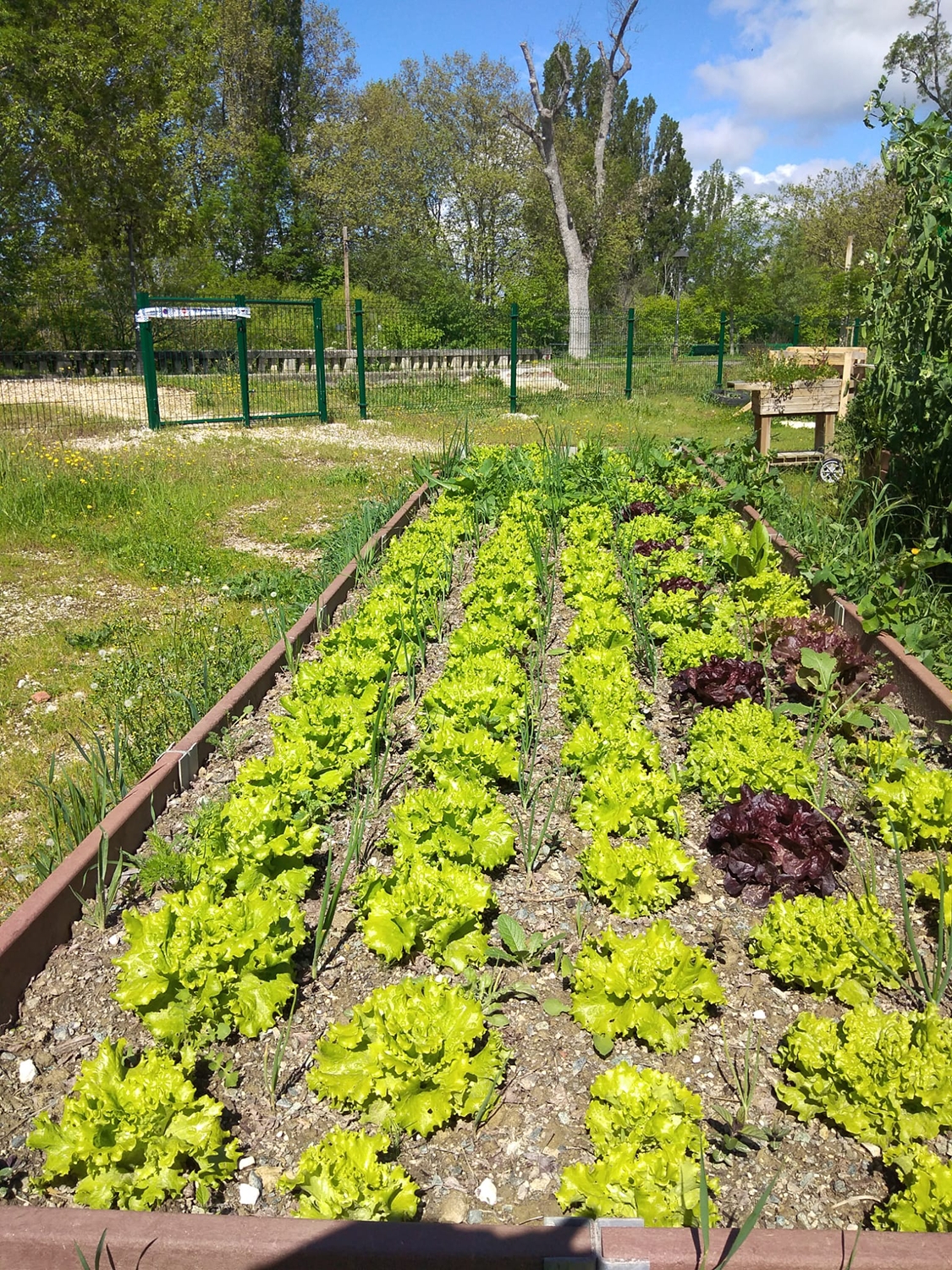 Pamplona elabora un diagnóstico sobre agroecología y contará con un plan de propuestas prioritarias a final de año