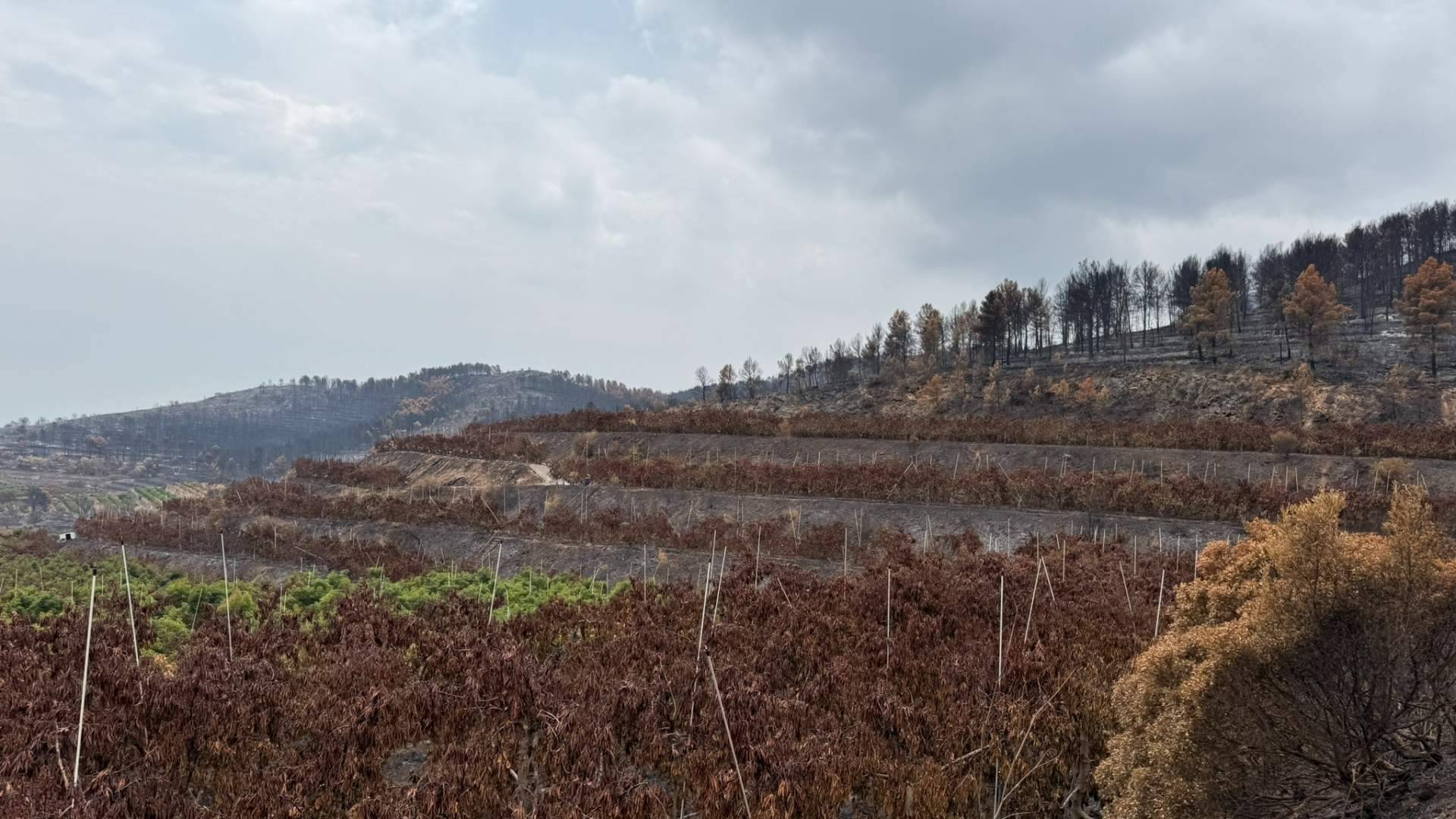 La finca Peña Alta de Tropitop queda calcinada por el fuego y una ola de apoyo impulsa su recuperación