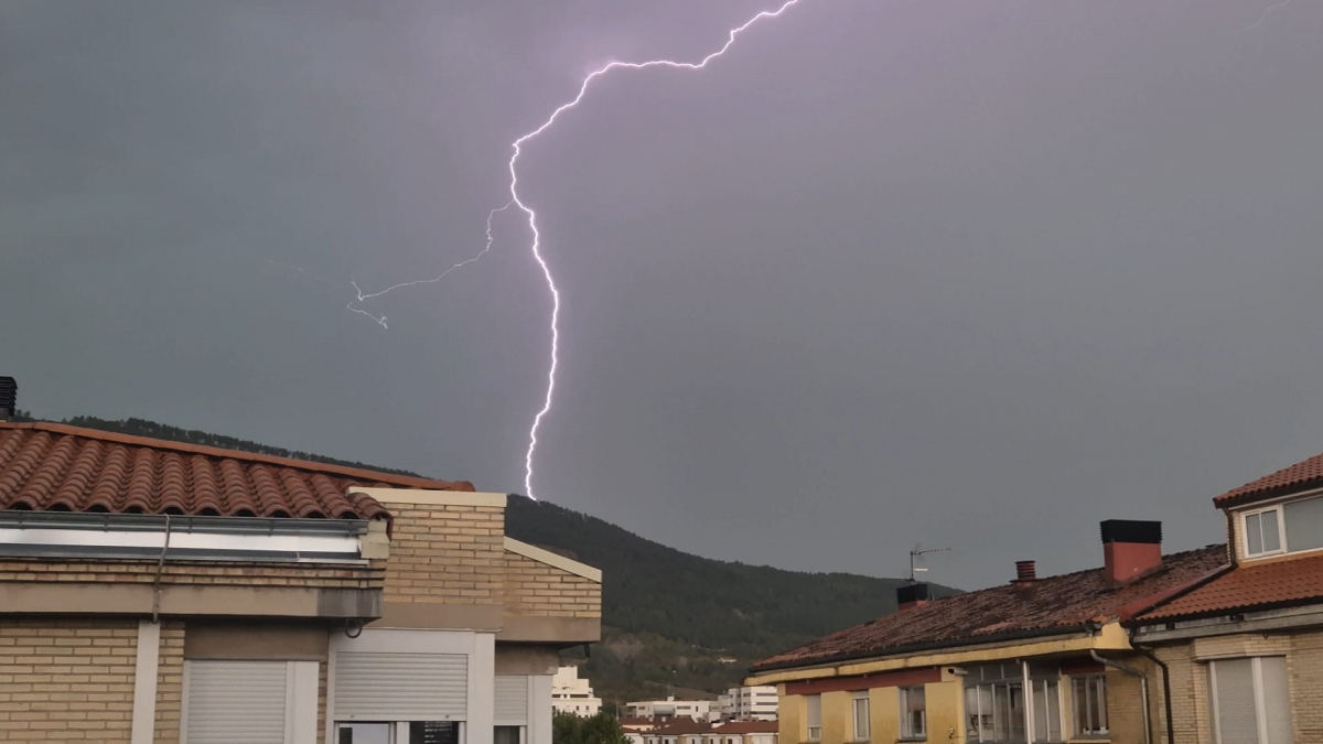 Las lluvias de este sábado provocan caída de árboles en Baztan y restricciones en el antiguo puerto de Belate