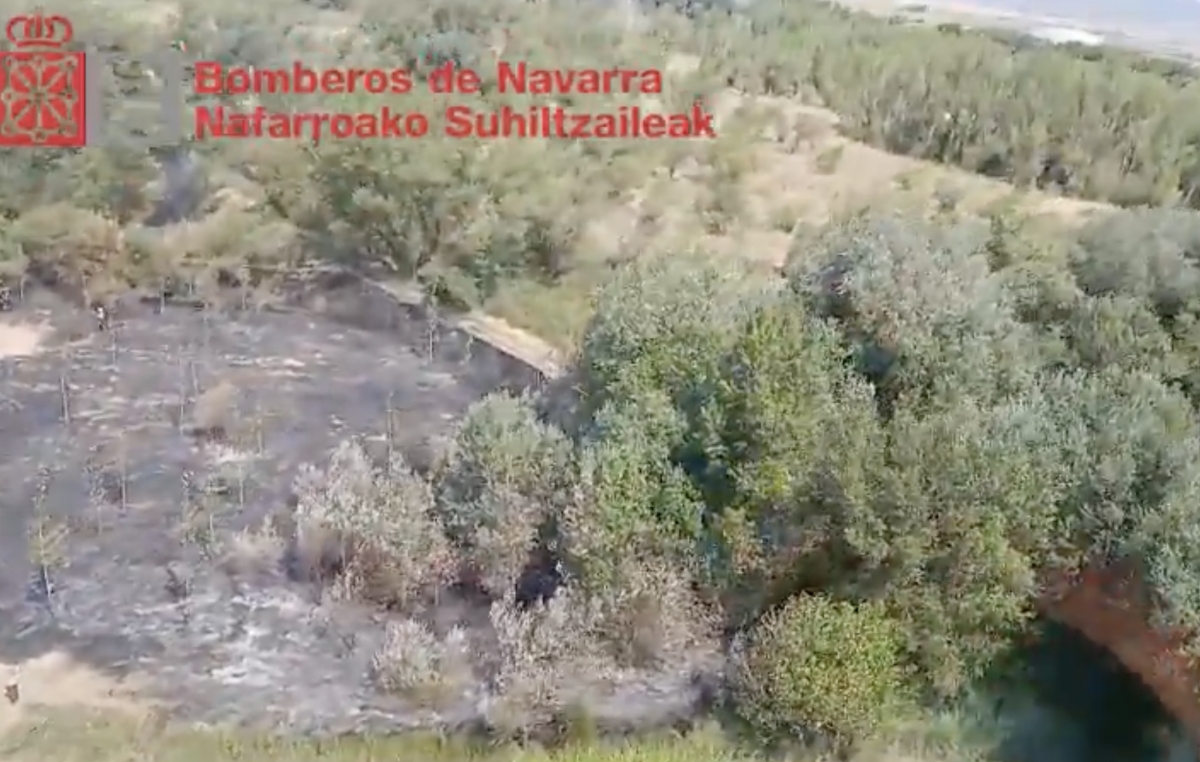 Controlado un incendio forestal declarado en el Soto del Sequero (Mélida) 