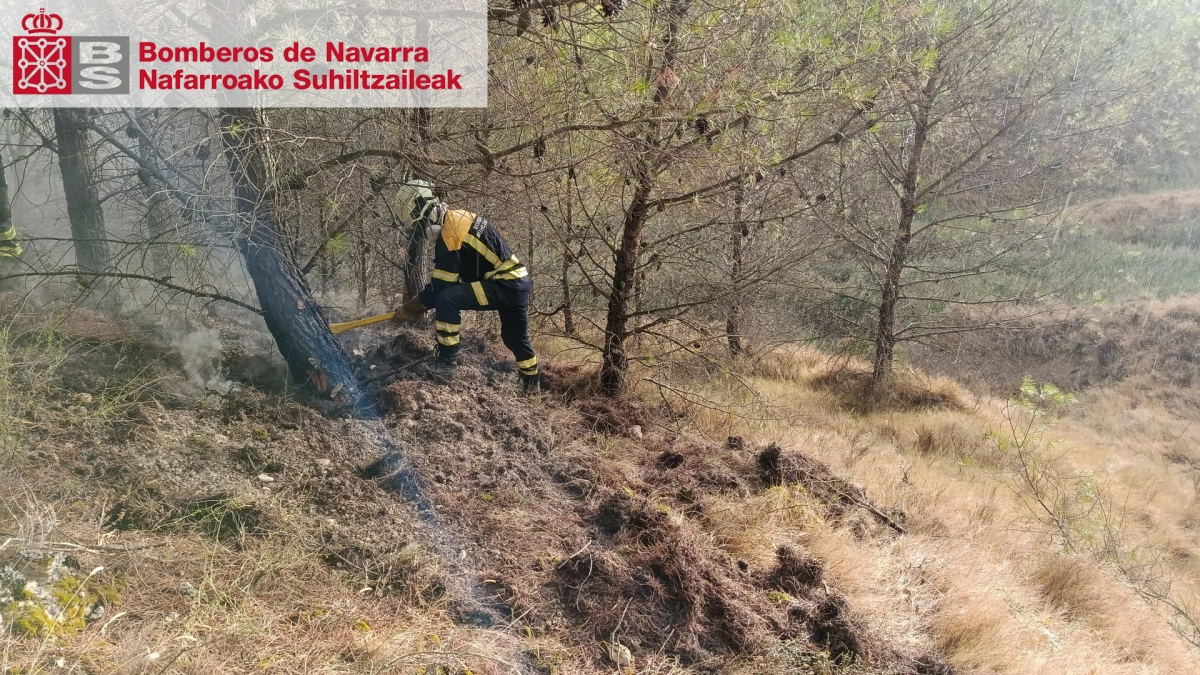 Bomberos sofocan un incendio forestal en Sesma provocado por la caída de un rayo