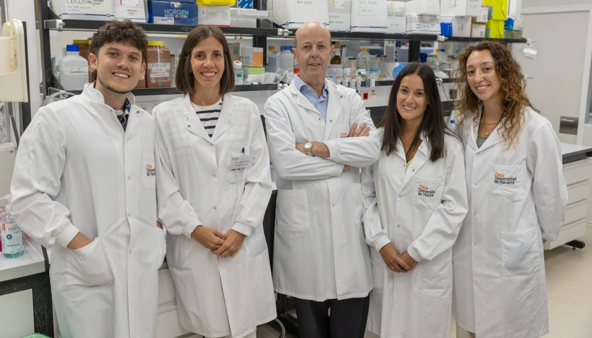 Investigadores identifican cambios en la médula ósea que podrían abrir nuevas vías para tratar el mieloma múltiple