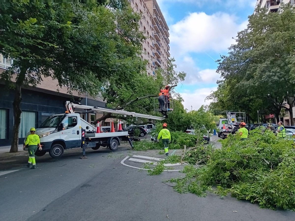 La tormenta del jueves provoca la caída de dos árboles en el Primer Ensanche y Mendillorri sin causar daños personales