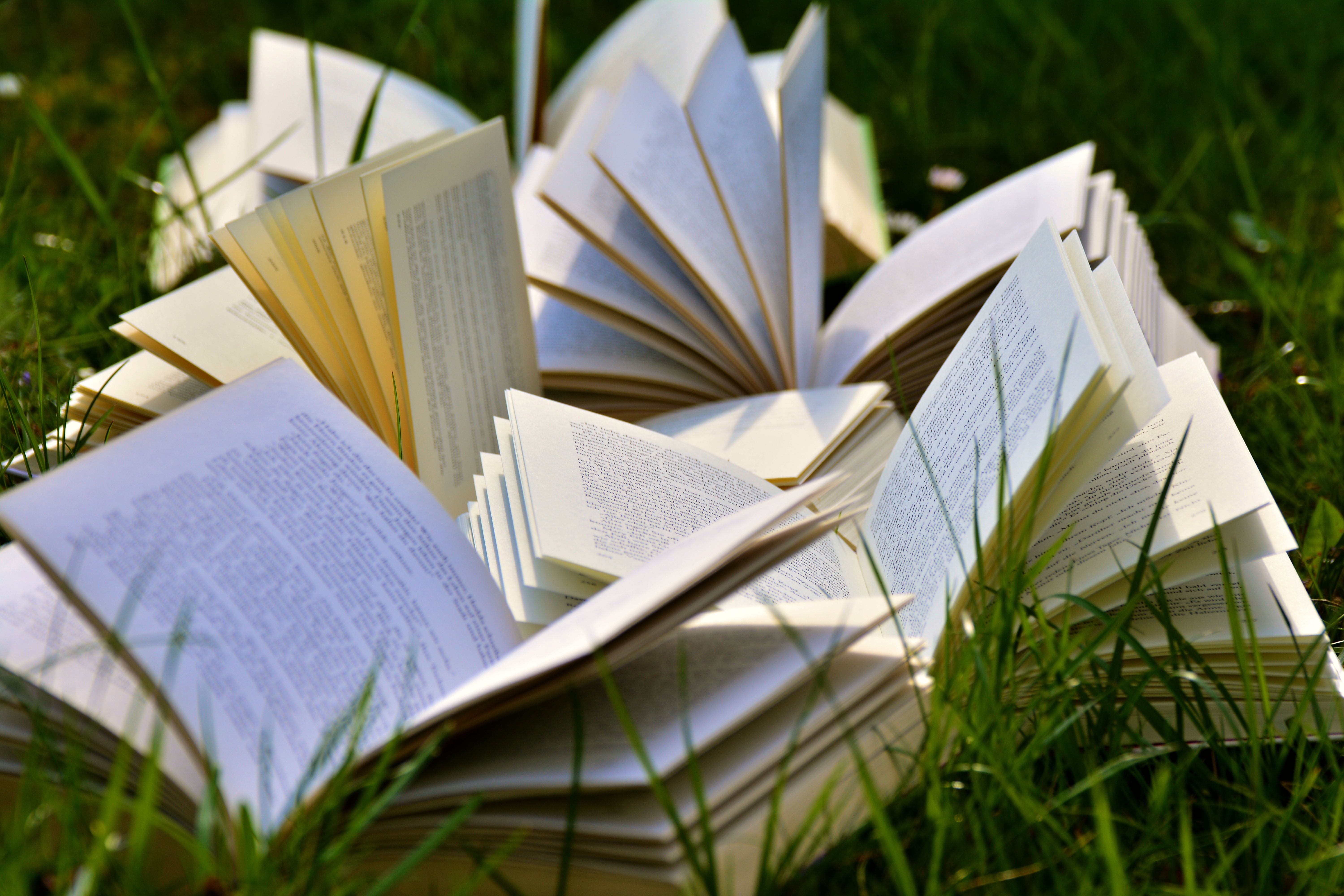 Medio Ambiente propone a los clubes de lectura de Navarra trabajar el cambio climático con dos libros