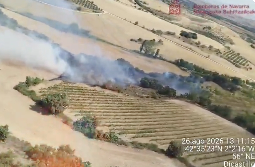 Bomberos controlan un incendio de vegetación en Dicastillo