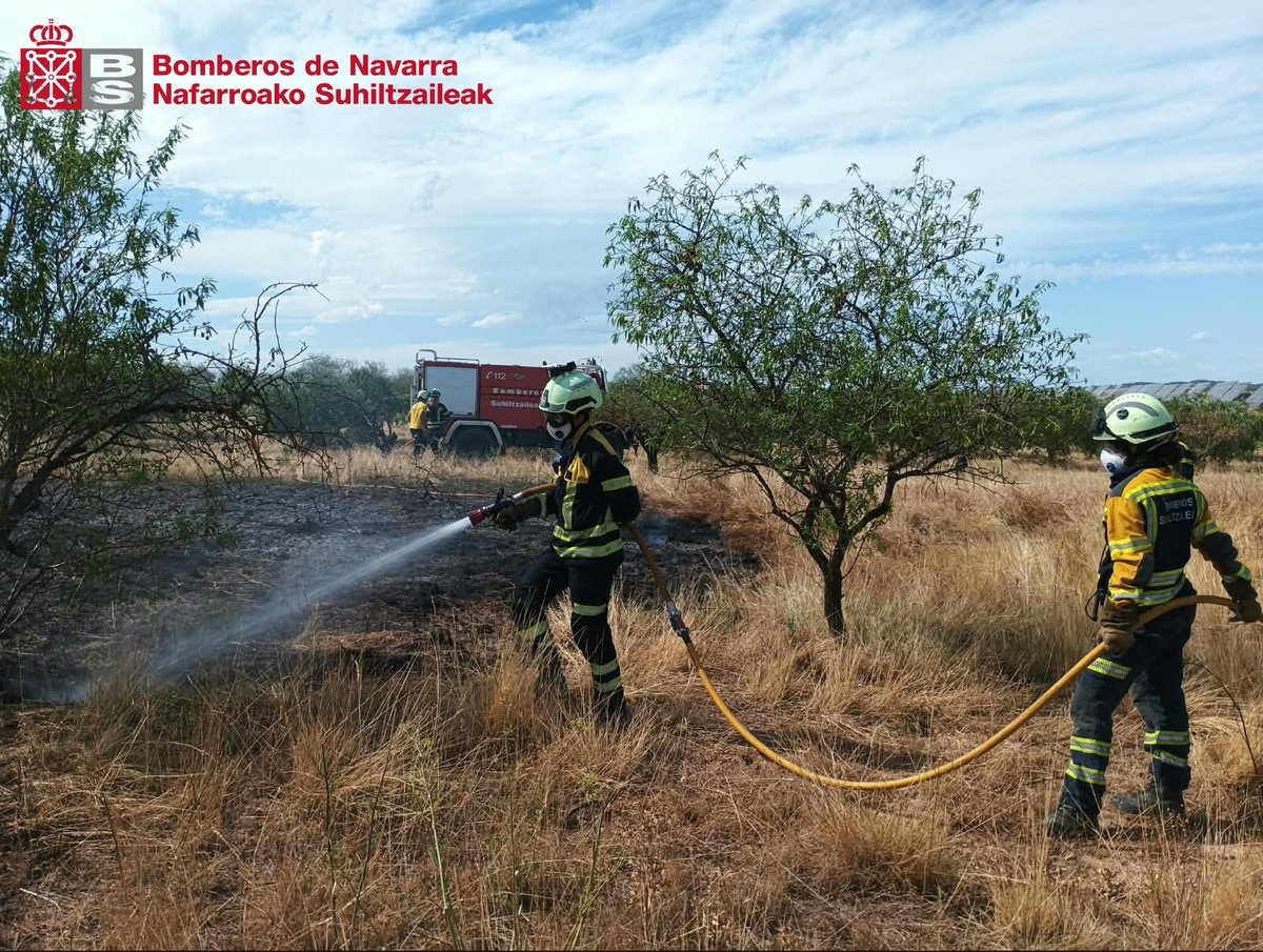 Extinguido un incendio de matorral y rastrojo en Milagro que ha afectado a varios árboles