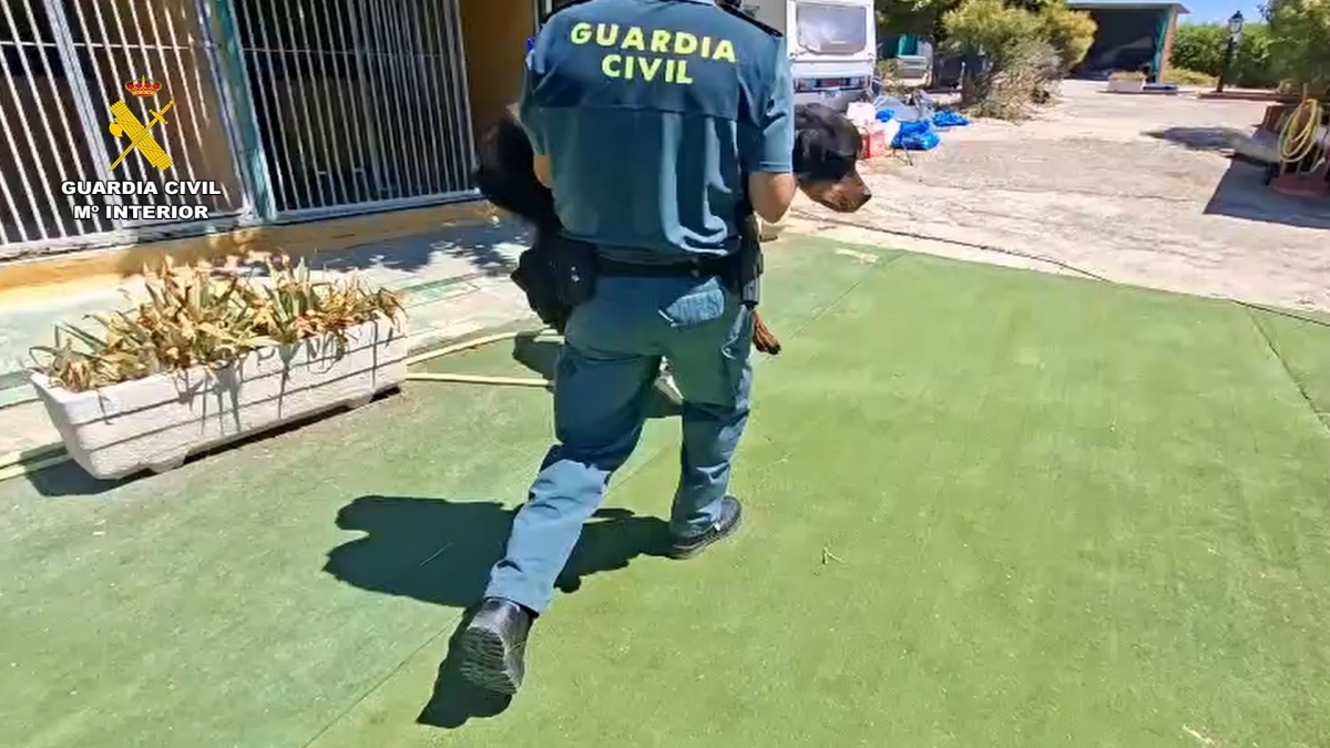 Investigados los dueños de una escuela canina por un delito de maltrato animal
