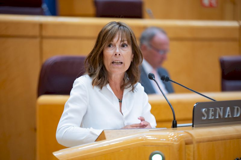 Barkos registra en el Senado preguntas al Gobierno sobre los mecanismos de protección por crímenes machista