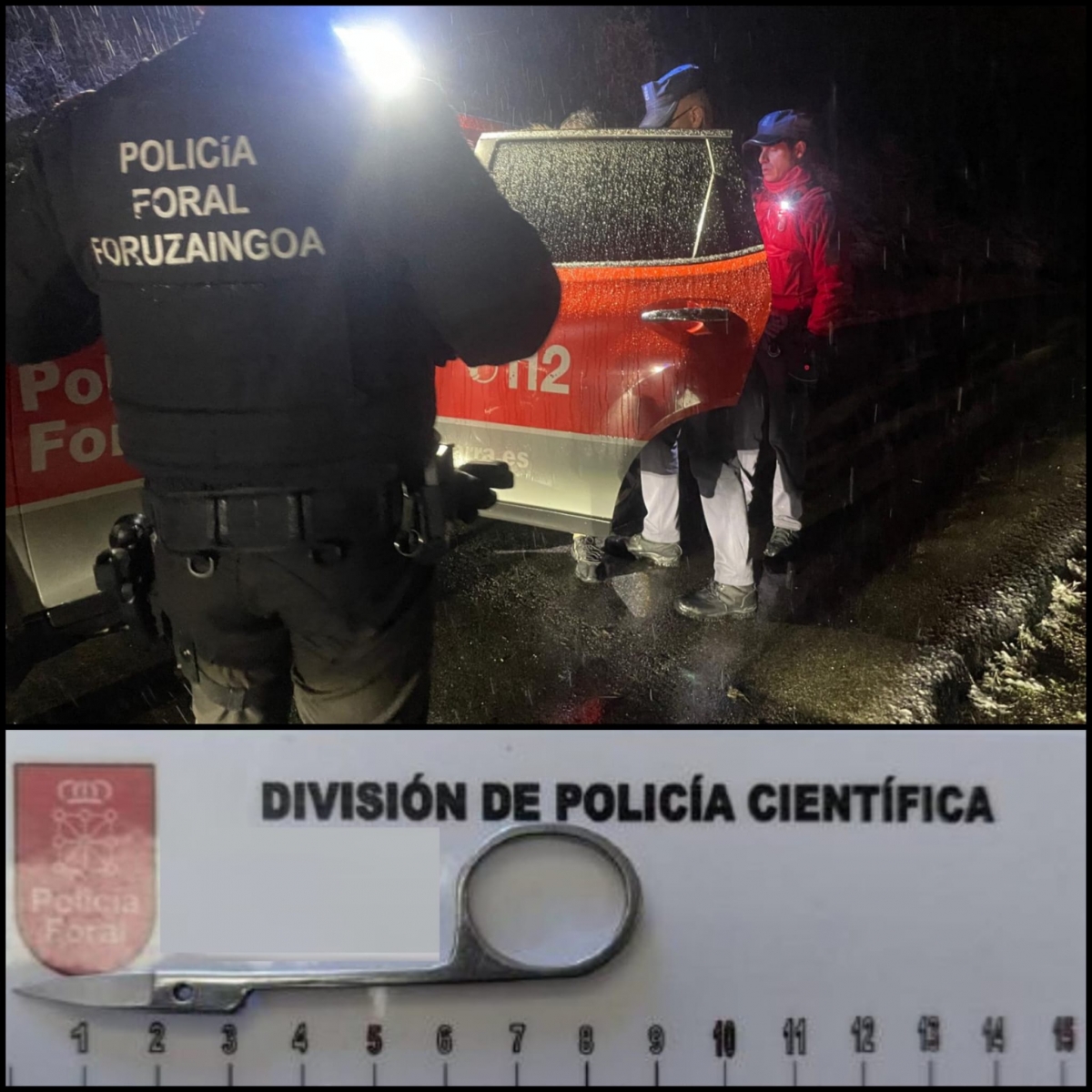 Intentaba matar a su propio padre acampado en Aranzadi y acaba acuchillando a otro hombre en el cuello