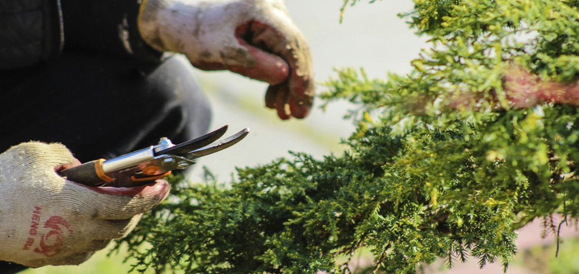 Tafalla lanza Escuela Taller de Limpieza y Jardinería para jóvenes