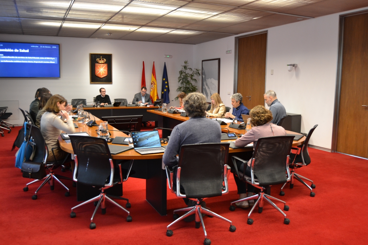 El Parlamento de Navarra pide al SNS-O que tome medidas para controlar la prescripción de gabapentinoides