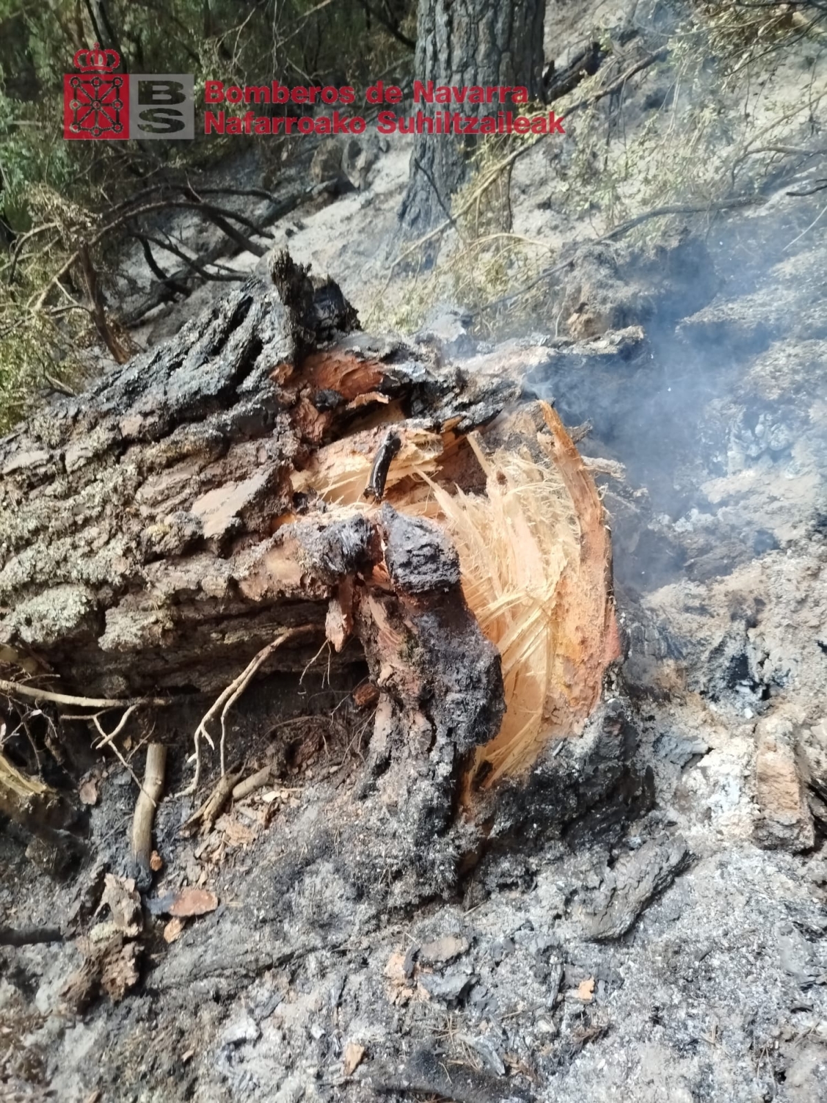 El incendio forestal de Urzainki evoluciona favorablemente tras una nueva jornada de trabajo de los bomberos