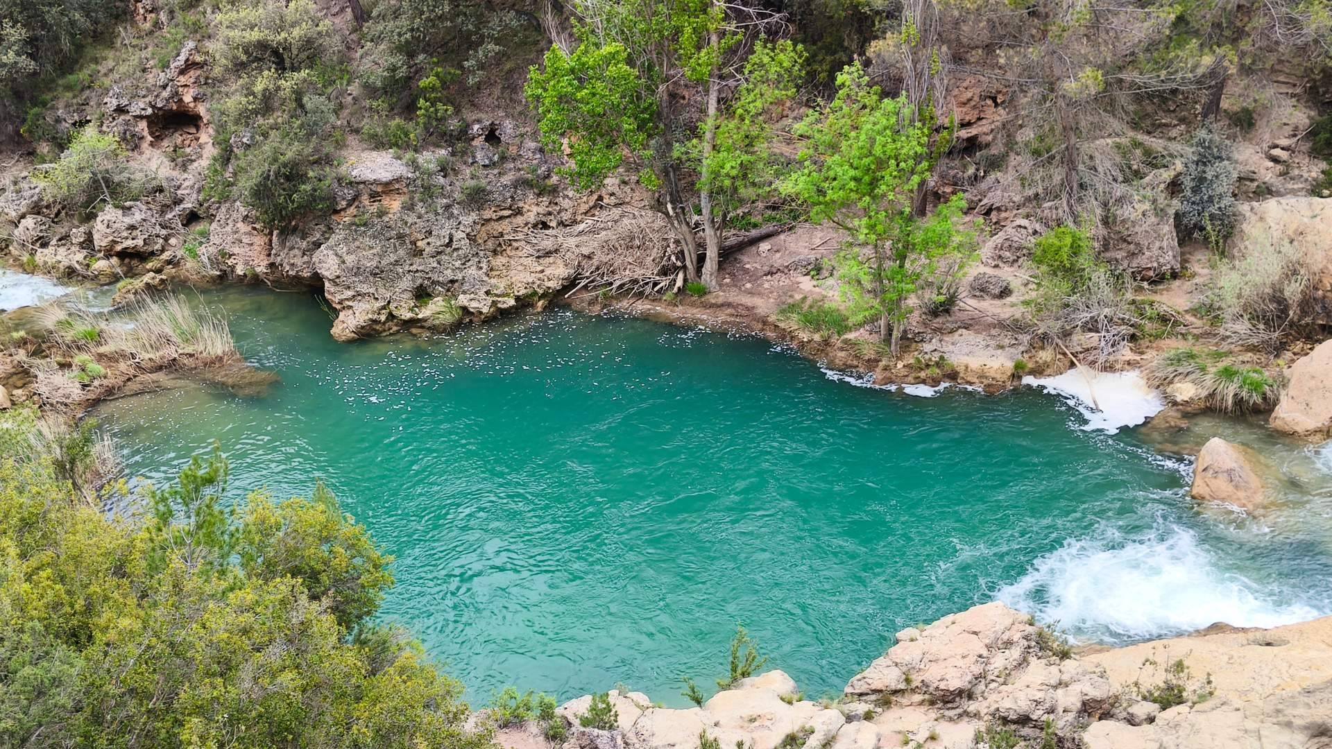 Ayudar a la naturaleza merece un premio; ¿Se sabe cuál es?
