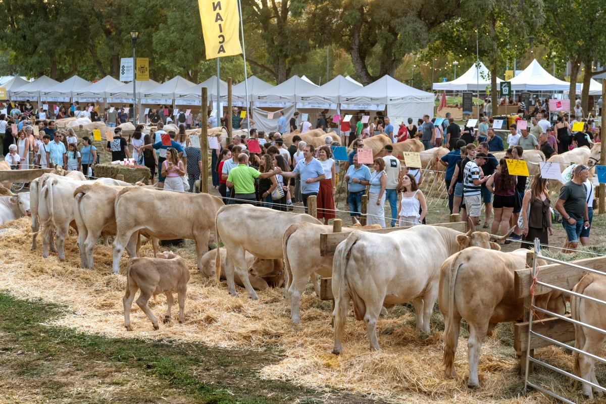 La feria Autentika se consolida como escaparate de las razas autóctonas y la alimentación local de Navarra