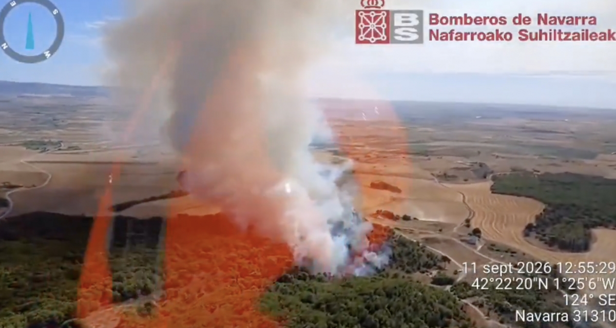 Bomberos y efectivos áreos trabajan en sofocar un incendio declarado en un pinar de Carcastillo