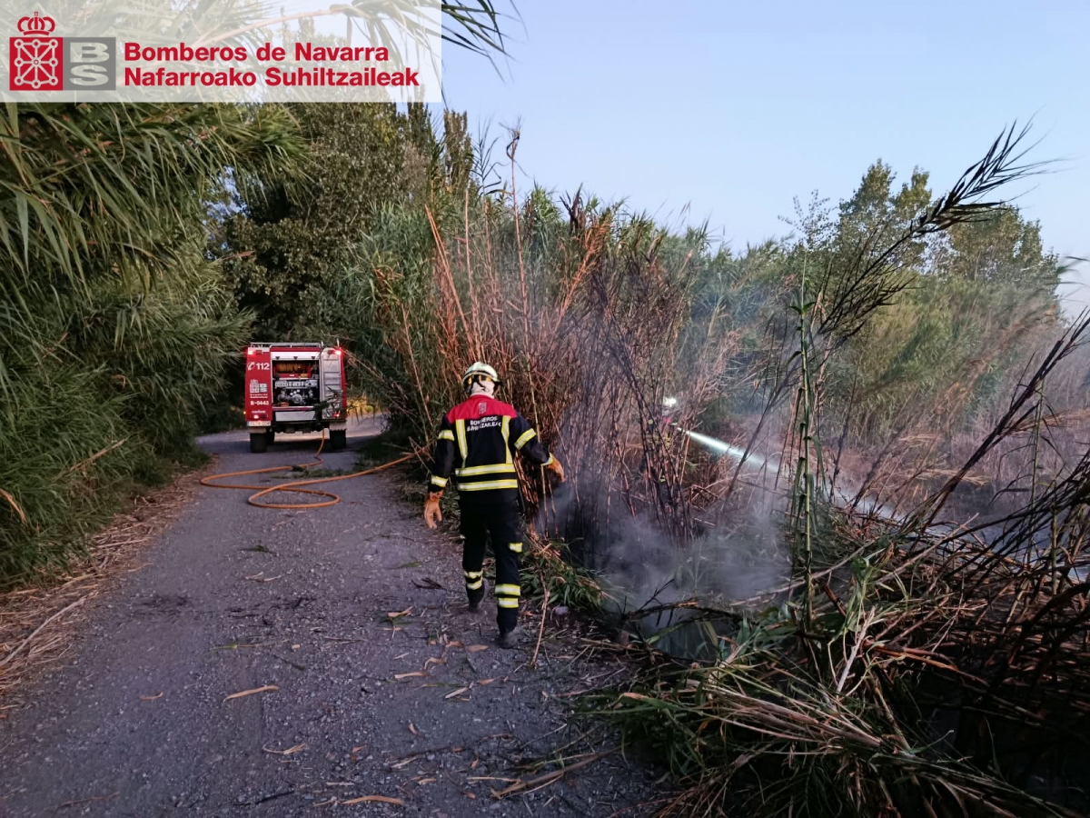 Los bomberos sofocan un incendio de carrizos en el Parque Peralta de Marcilla