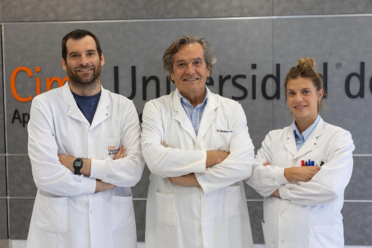 Investigadores del Cima confirman que los linfocitos T pueden favorecer o combatir el linfoma según el tipo de tumor