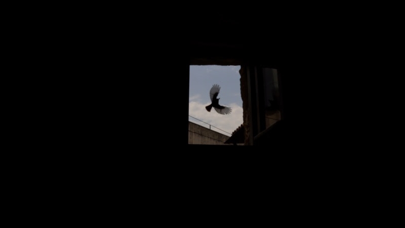 El Festival de San Sebastián arranca con una amplia presencia del audiovisual navarro en su 74ª edición
