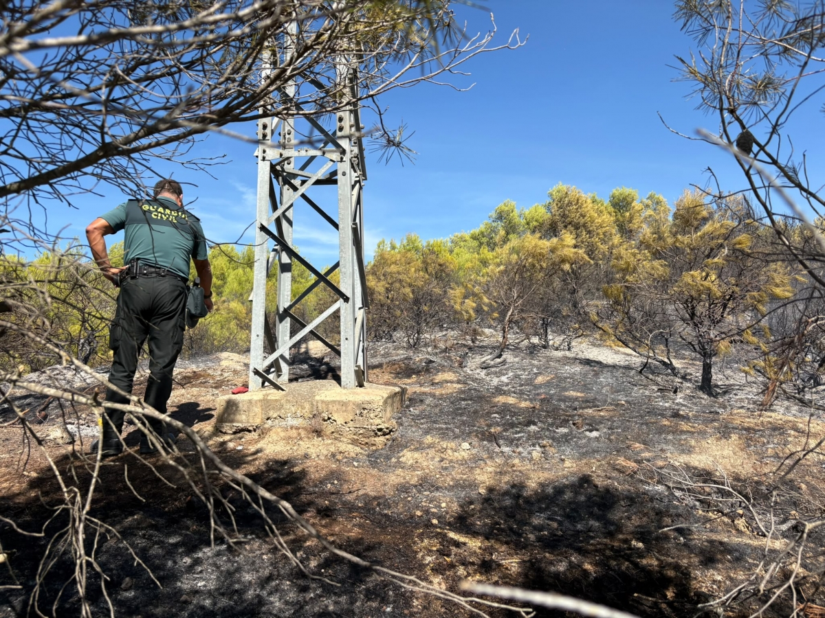 Extinguidos dos incendios en Lodosa y Sartaguda, uno de vegetación y otro en una vivienda