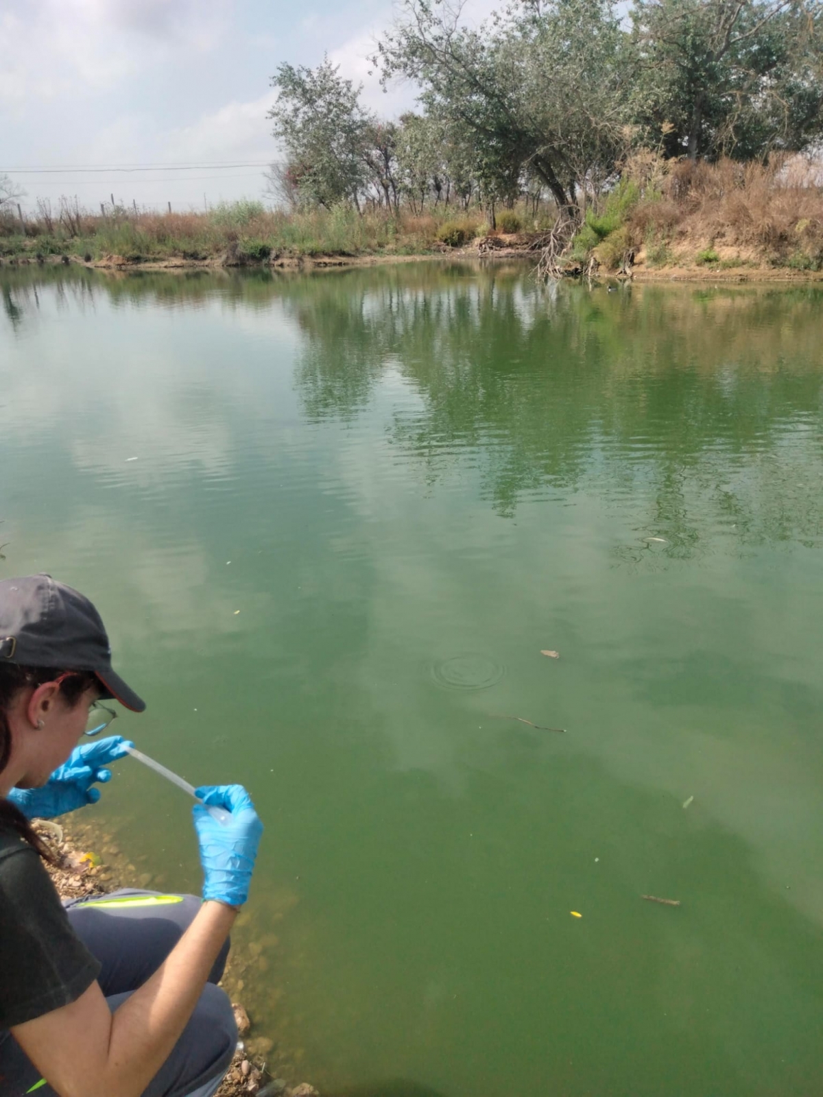 El calor récord prolonga la presencia de mosquitos y la vigilancia por el virus del Nilo hasta el otoño