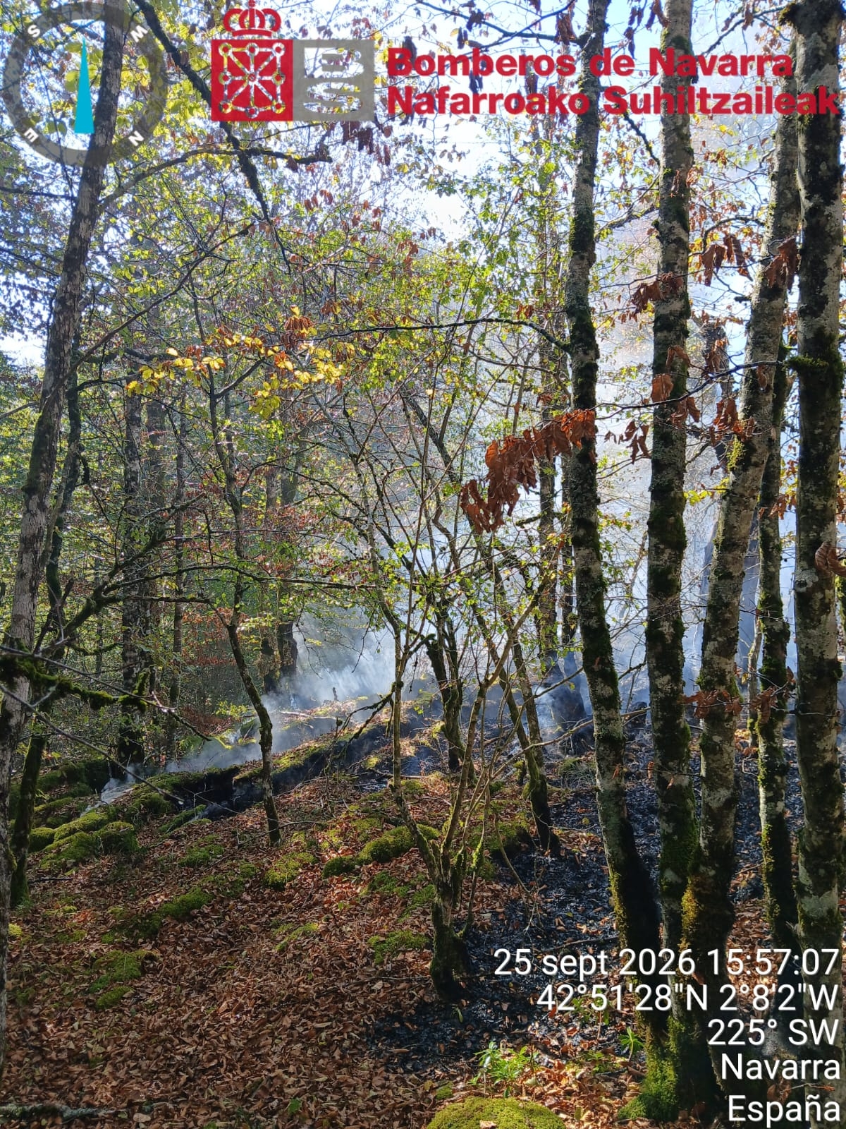 Controlado un incendio forestal en Urbasa 