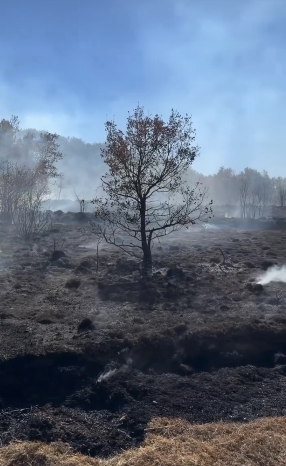 Controlado un incendio forestal en Olazti que ha obligado a cortar la carretera NA-7183