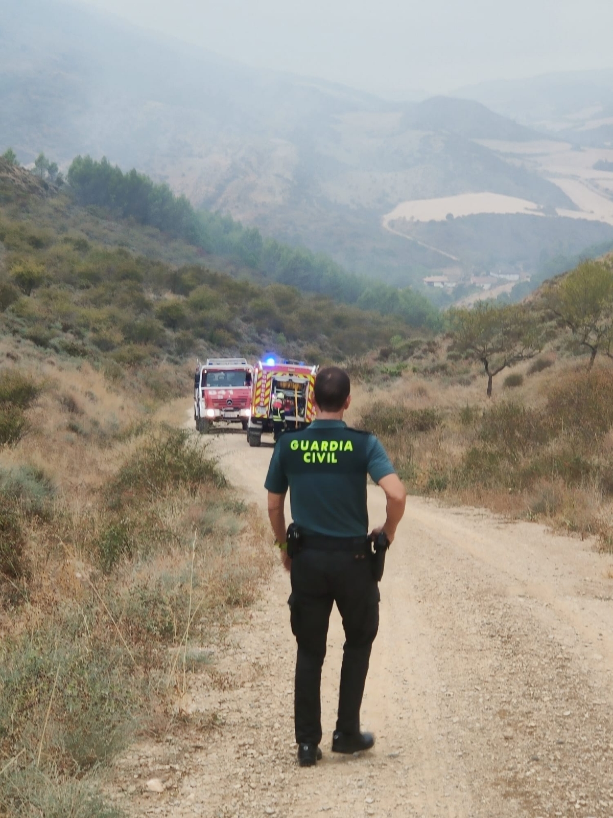 Un incendio forestal calcina cinco hectáreas de monte bajo en Espronceda