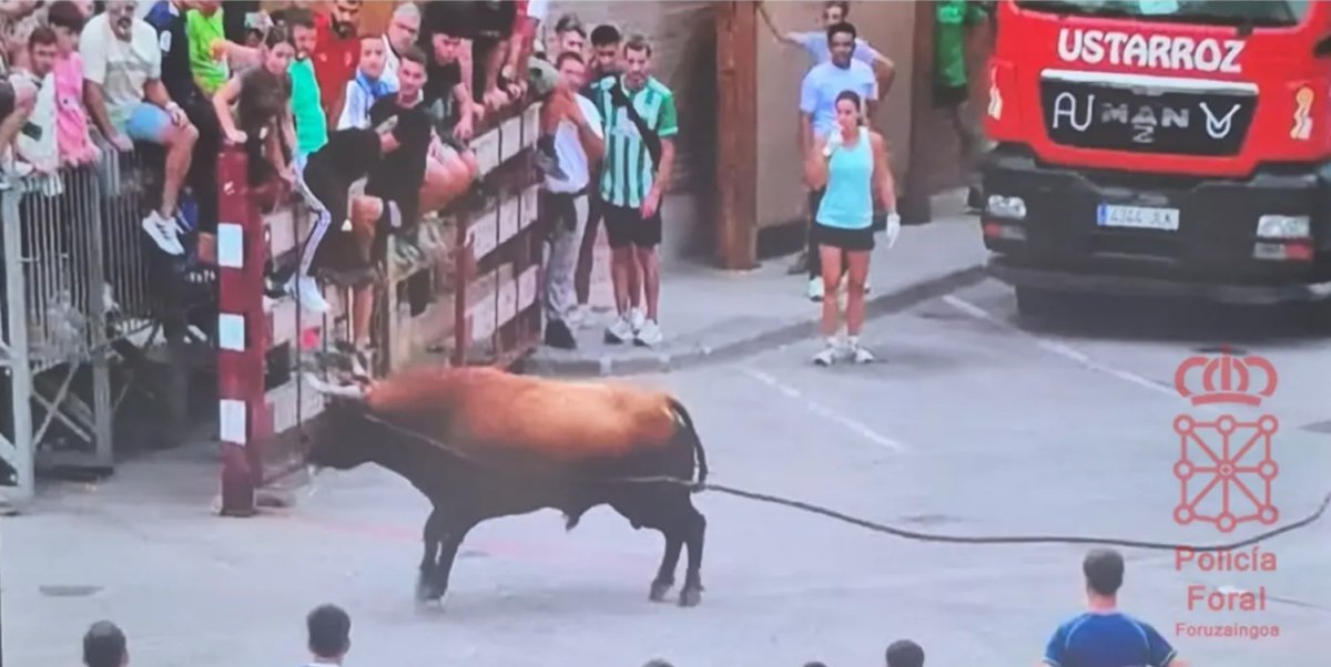 Fallece la joven herida durante el toro con soga en Lodosa