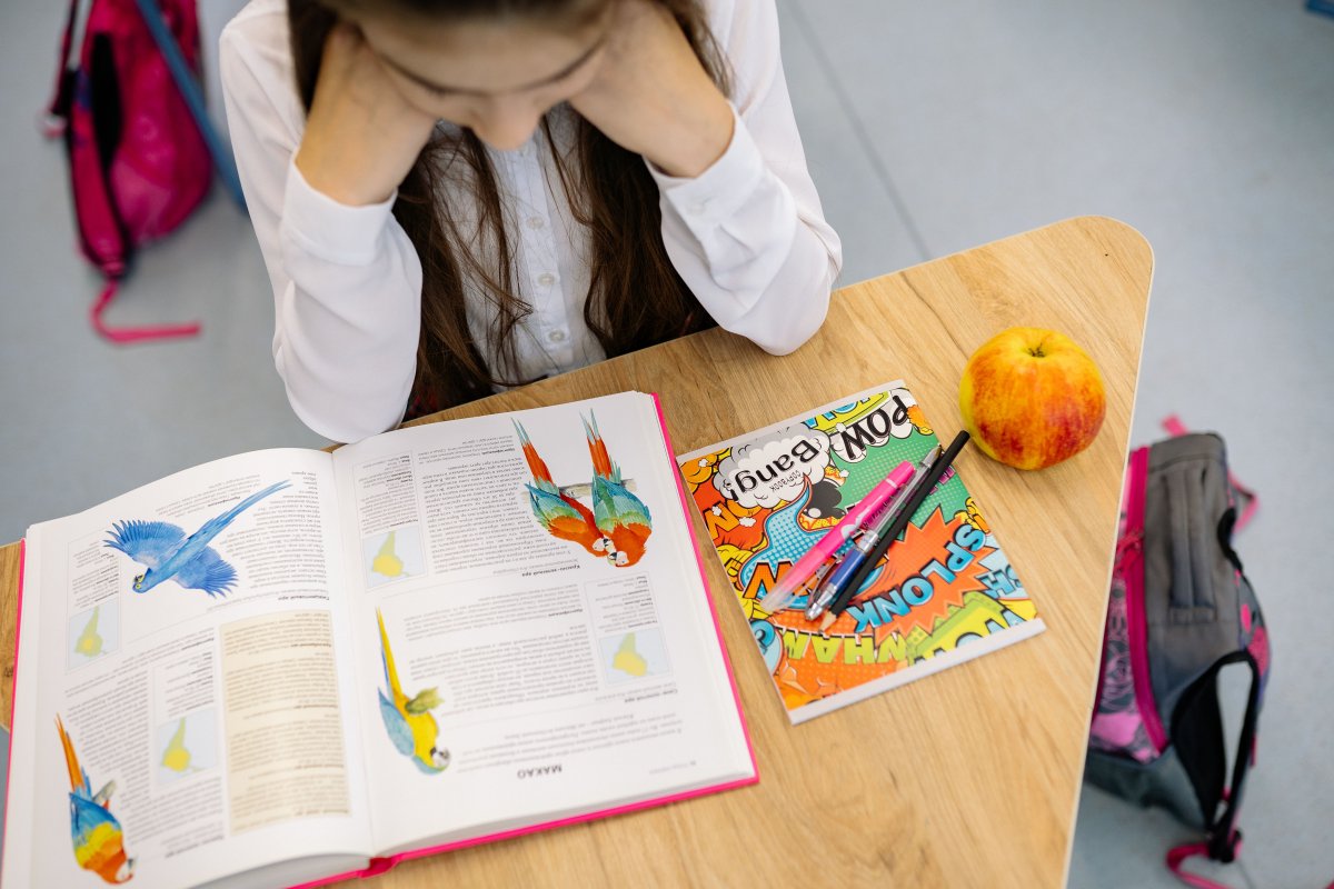225 colegios e institutos públicos navarros aplican este curso los planes de refuerzo de la competencia lectora