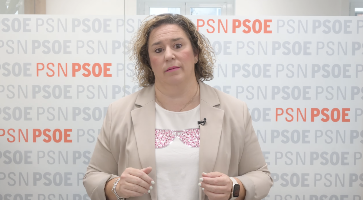 El PSN-PSOE afronta las generales con el objetivo de lograr "una mayoría progresista más amplia"