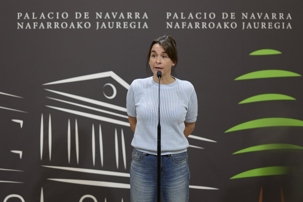 El Gobierno de Navarra defenderá ante el Constitucional el blindaje permanente de las viviendas de alquiler protegido