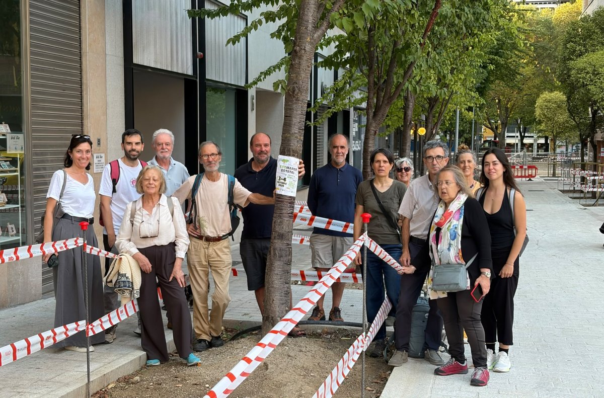 El mapeo ciudadano "Aquí falta un árbol" registra 1.057 alcorques defectuosos en barrios de Pamplona