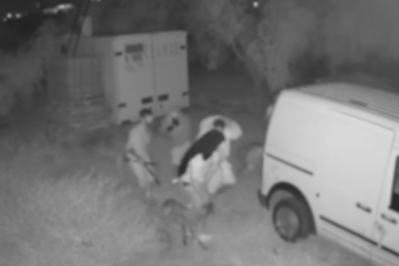 La Guardia Civil detiene a cuatro individuos por robar y maltratar galgos en Sevilla