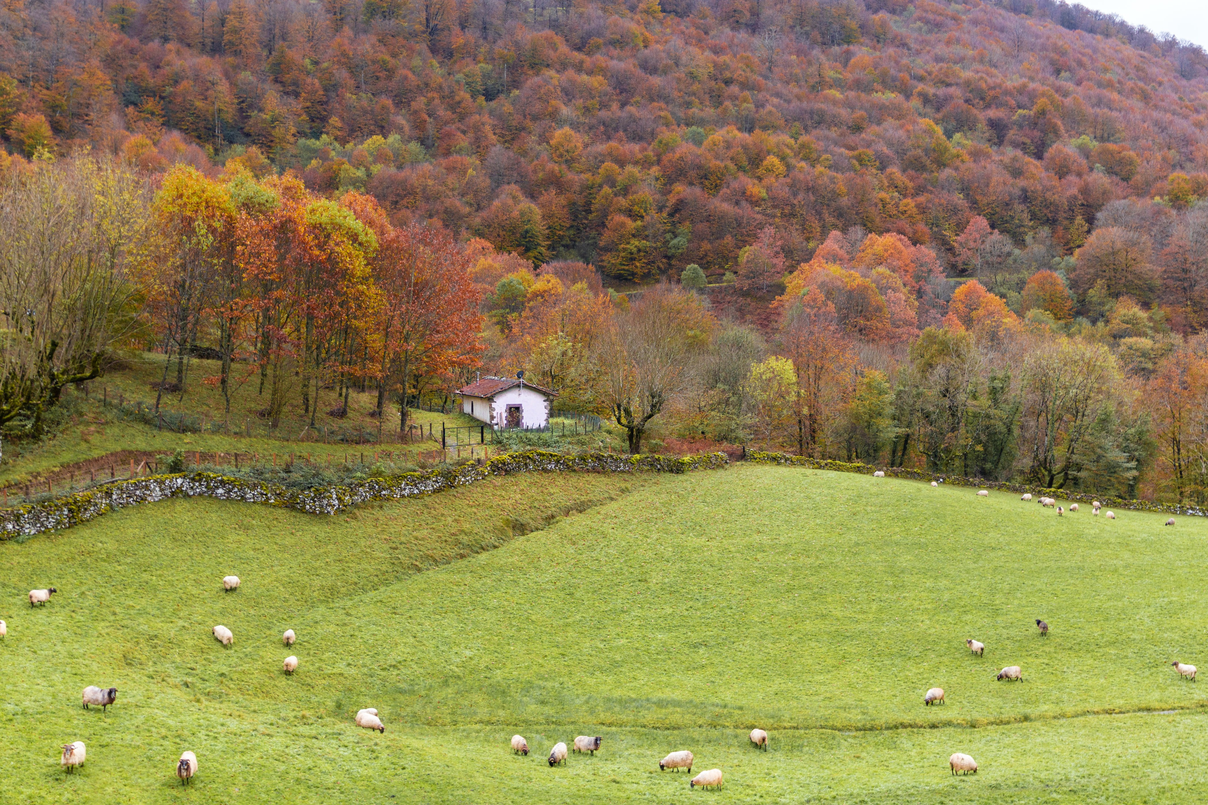 El Gobierno de Navarra organiza una jornada climática en Aoiz con innovadoras iniciativas locales y globales