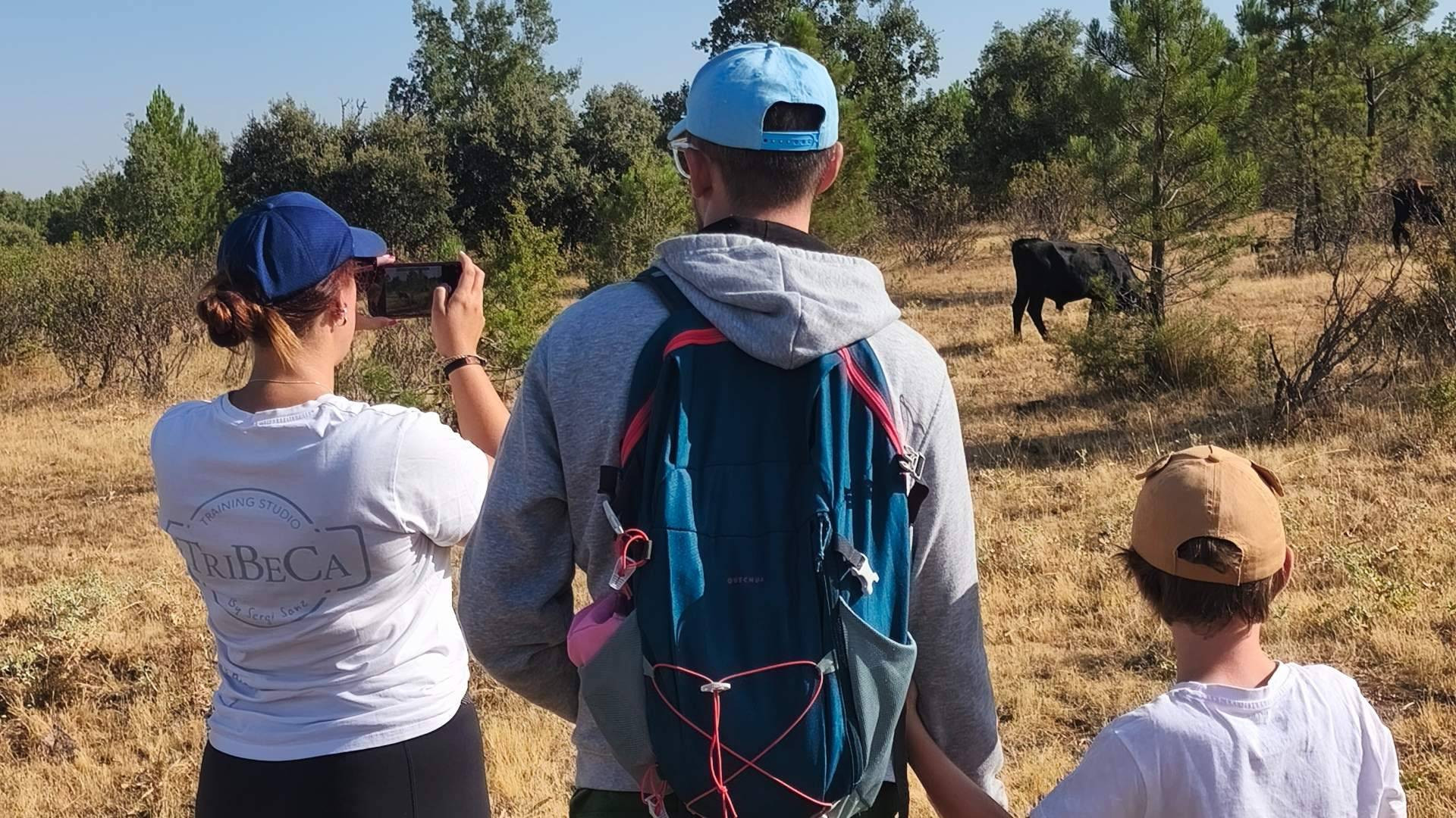 Tras el fuego, la vida; caballos y tauros recuperan el paisaje de Guadalajara