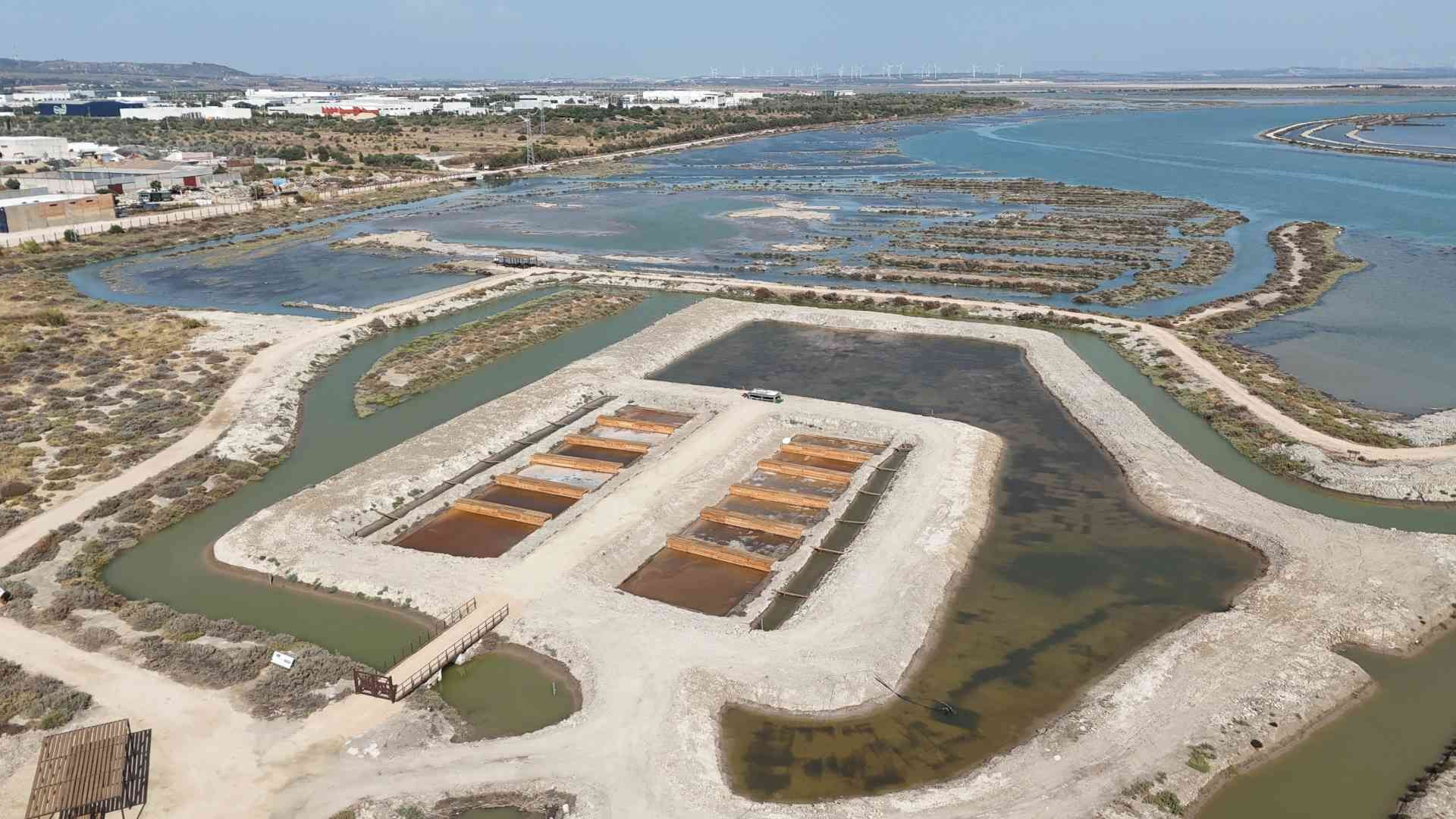 Aponiente impulsa un proyecto pionero de carbono azul en la Salina San José