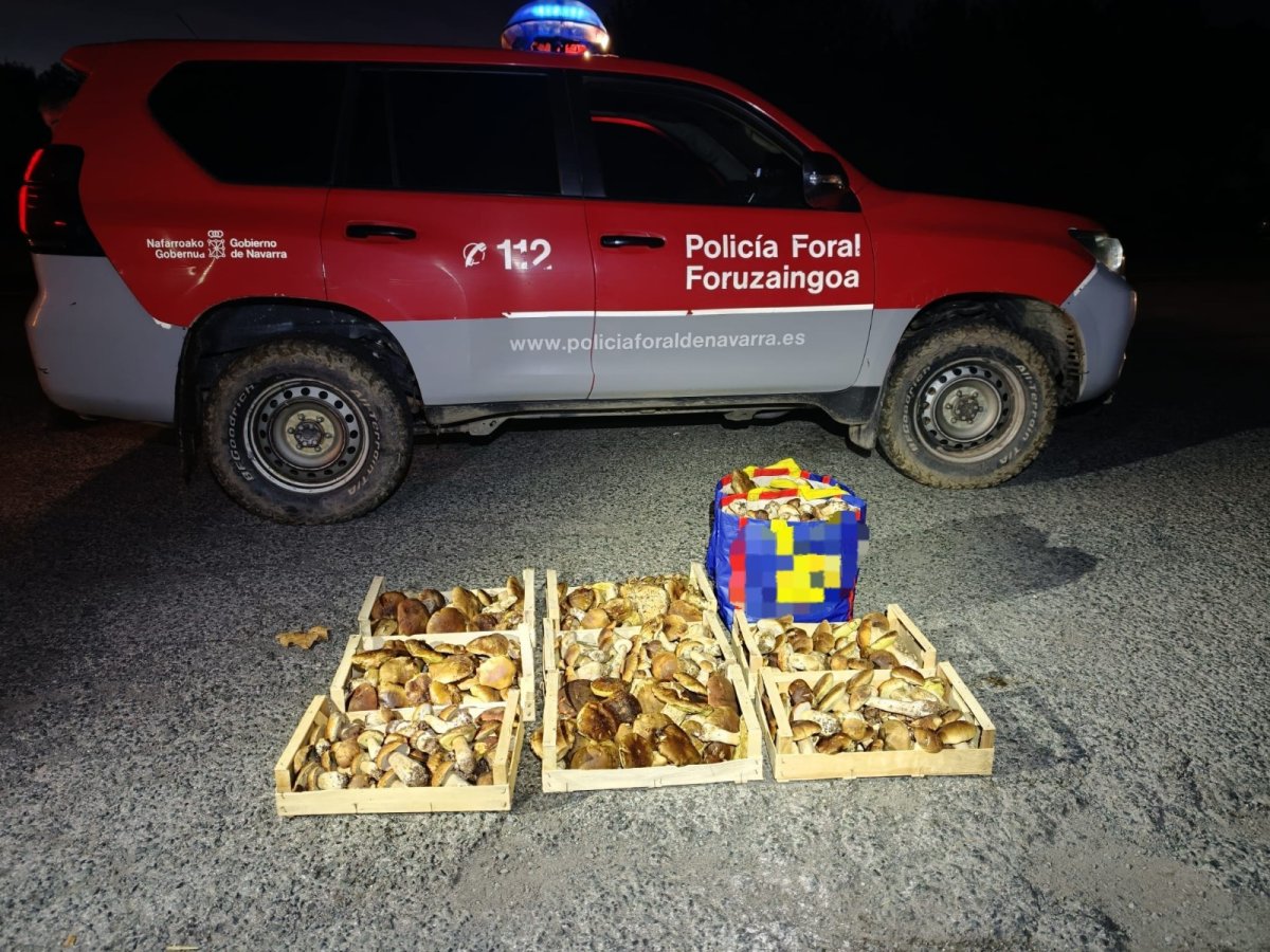 La Policía Foral requisa más de 50 kilos de hongos a un individuo sin pase en el coto de Ultzama