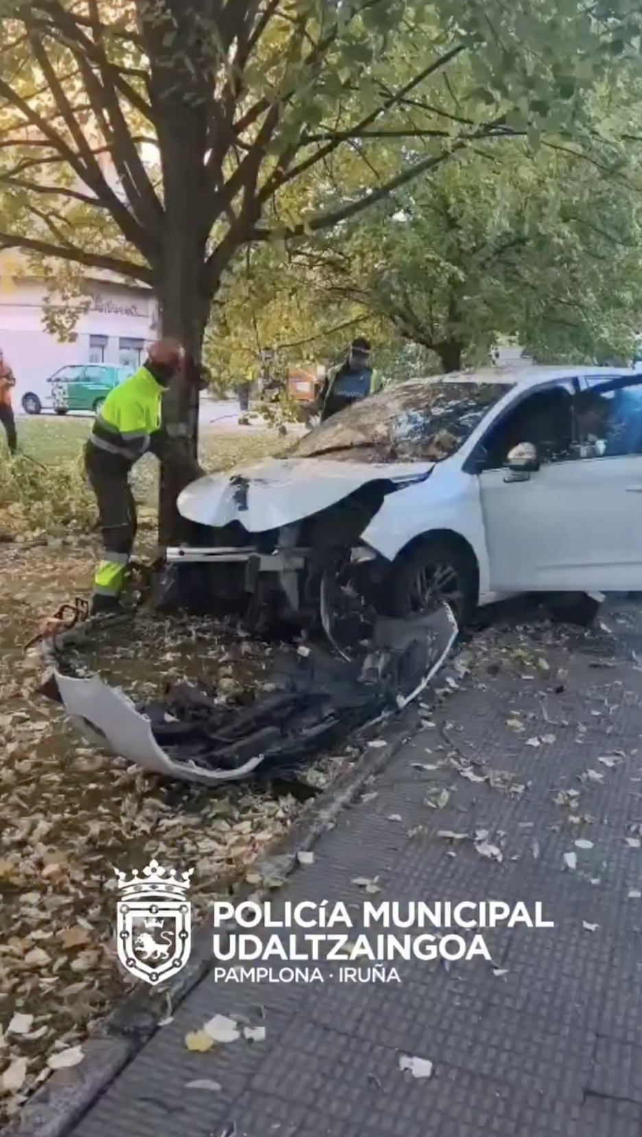 Empotra su vehículo contra un árbol en Mendebaldea